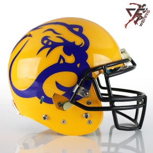 Helmet Decals
