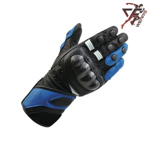 Motorcycle Gloves